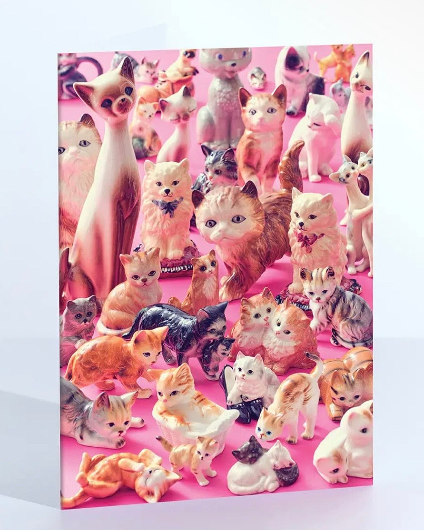 Team Cat Card