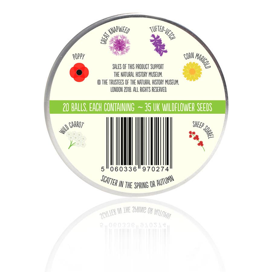 Bird Mix Seedball Tin-Seedball-My Beautiful Caravan