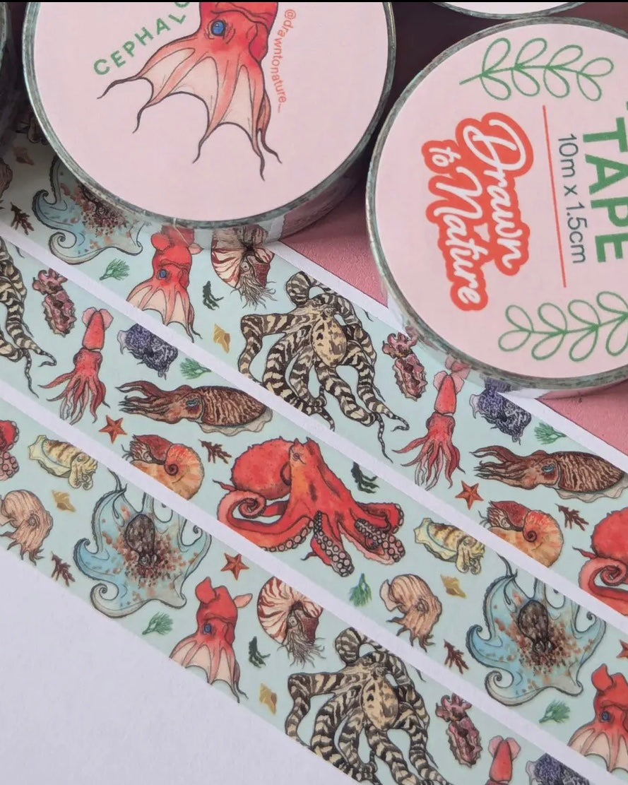 Drawn To Nature Washi Tape-Drawn To Nature-My Beautiful Caravan