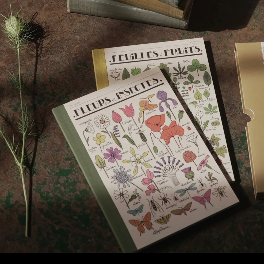 Fleurs Et Feuilles Notebook Set-Roomytown-My Beautiful Caravan
