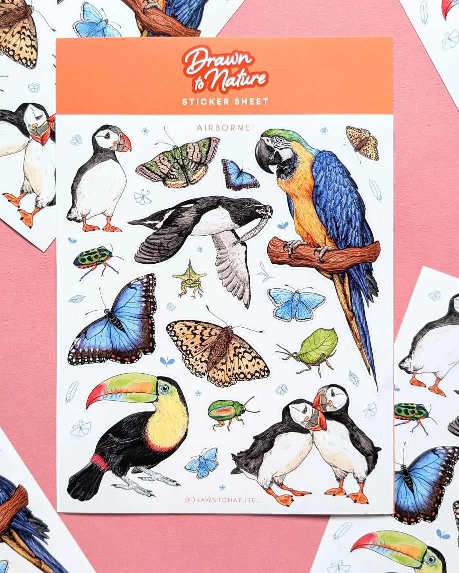 Draw To Nature Sticker Sheet