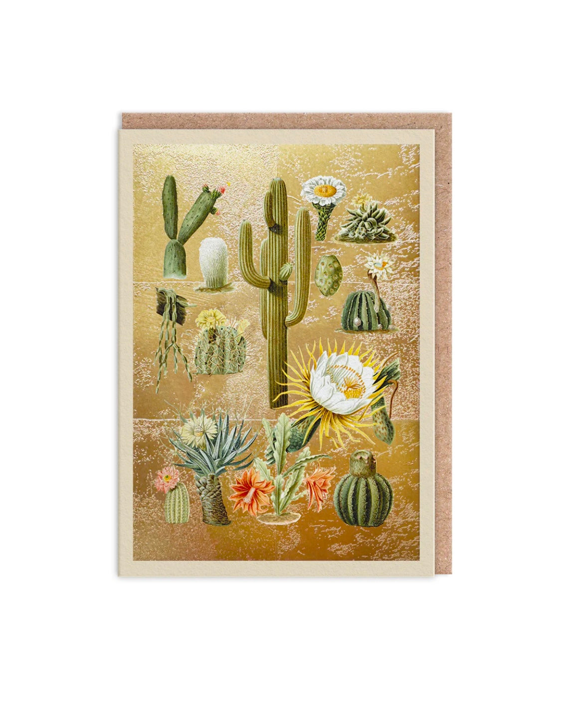 Cacti Gold Greetings Card