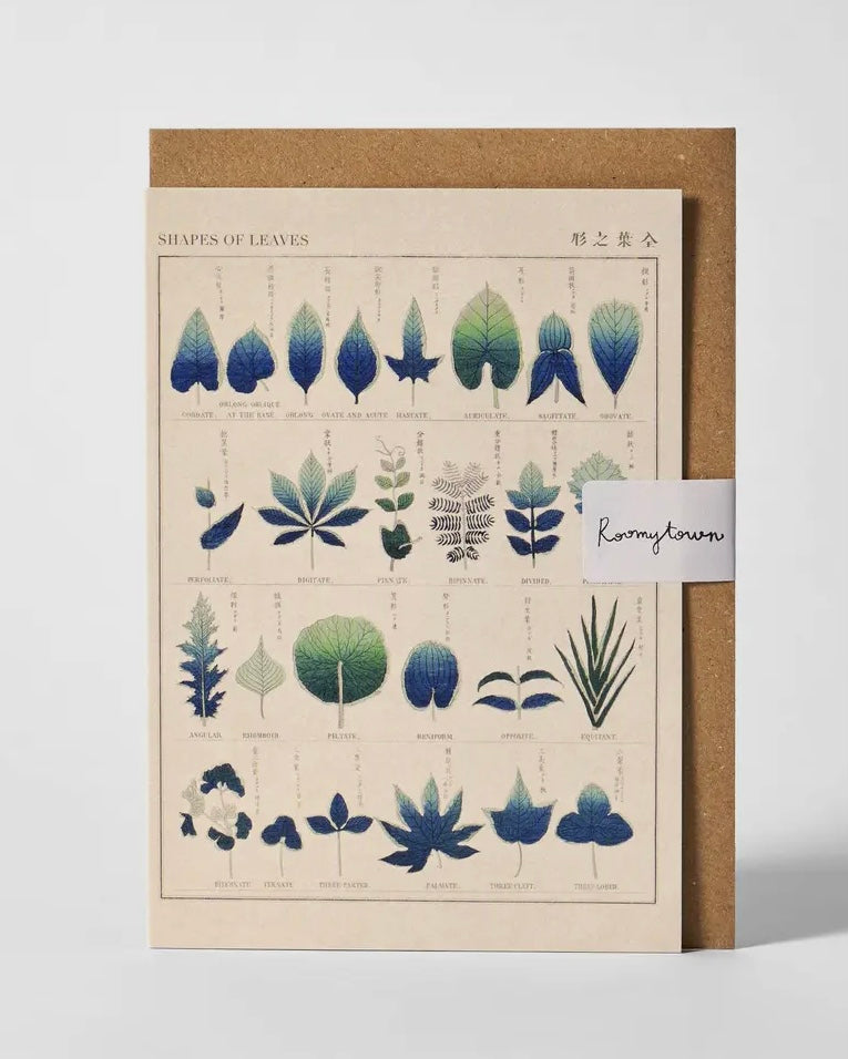 Roomytown Cards