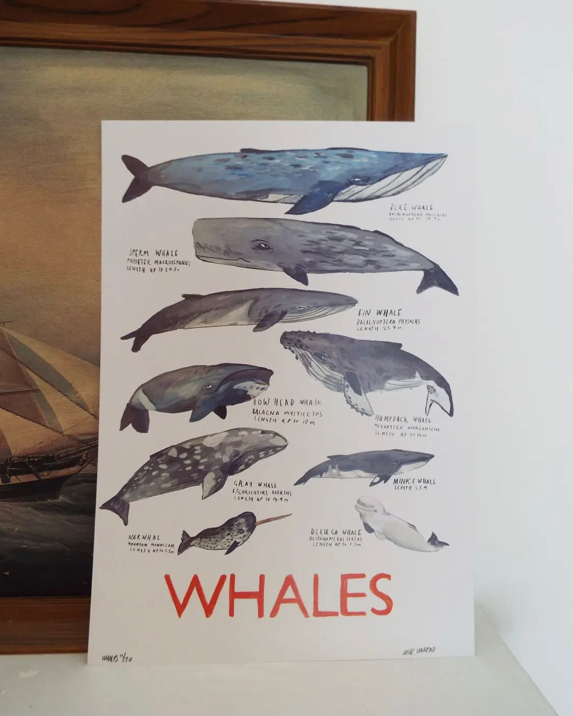 Whales Print