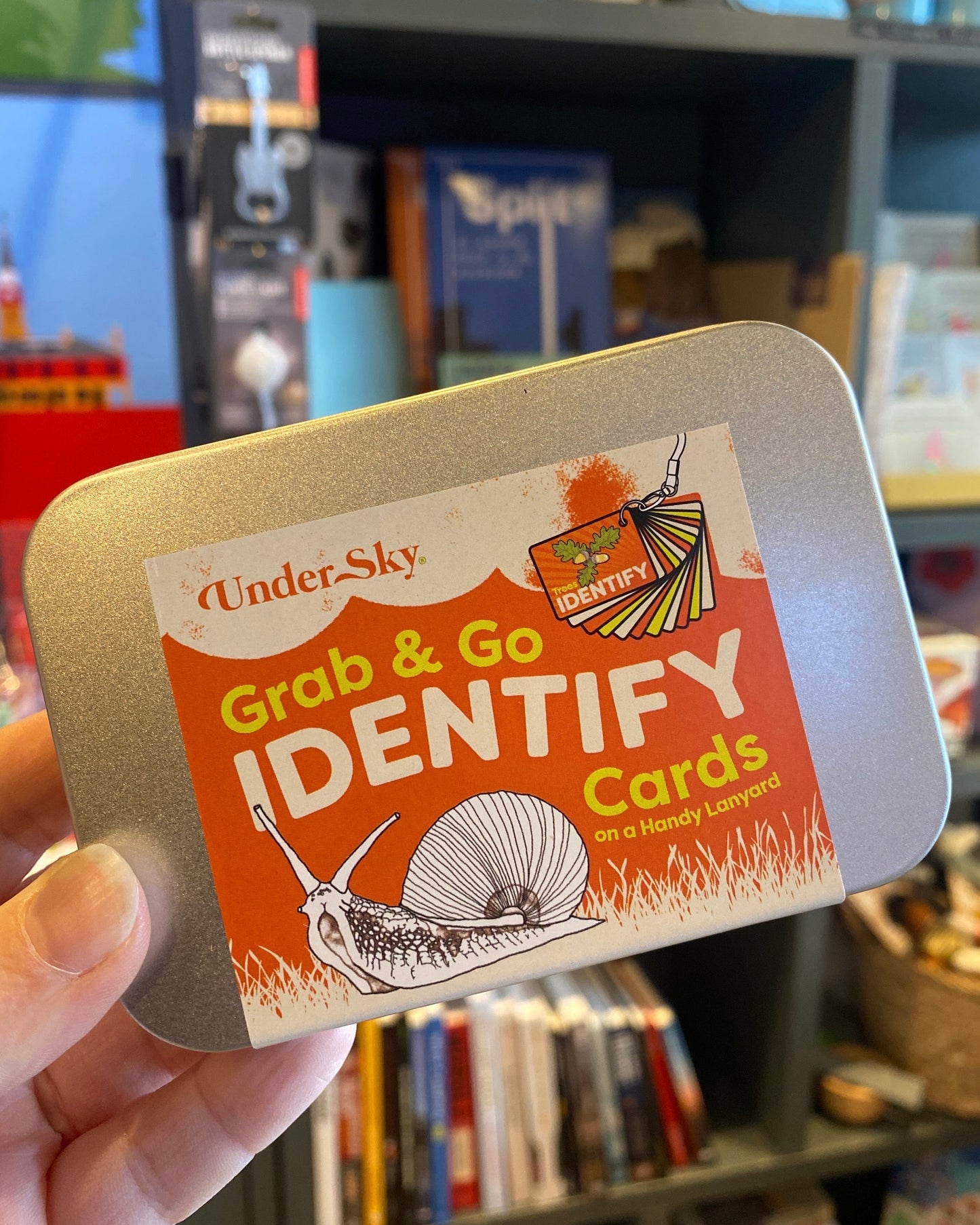 Grab & Go Identify Cards-Under Sky-My Beautiful Caravan