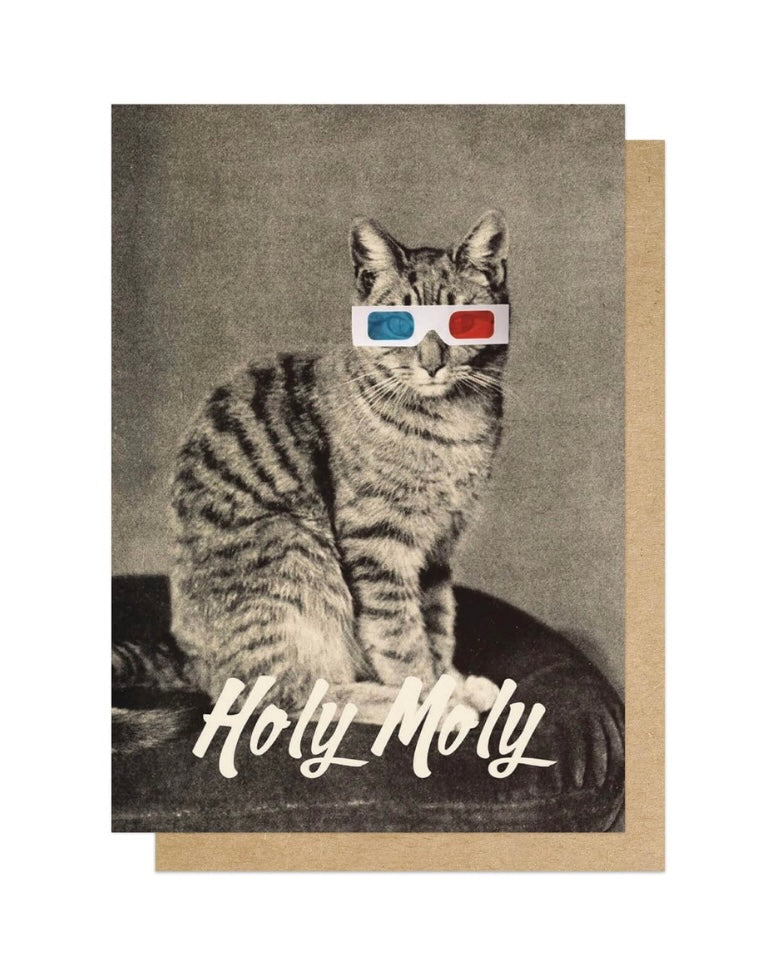 Holy Moly Card-East End Prints-My Beautiful Caravan