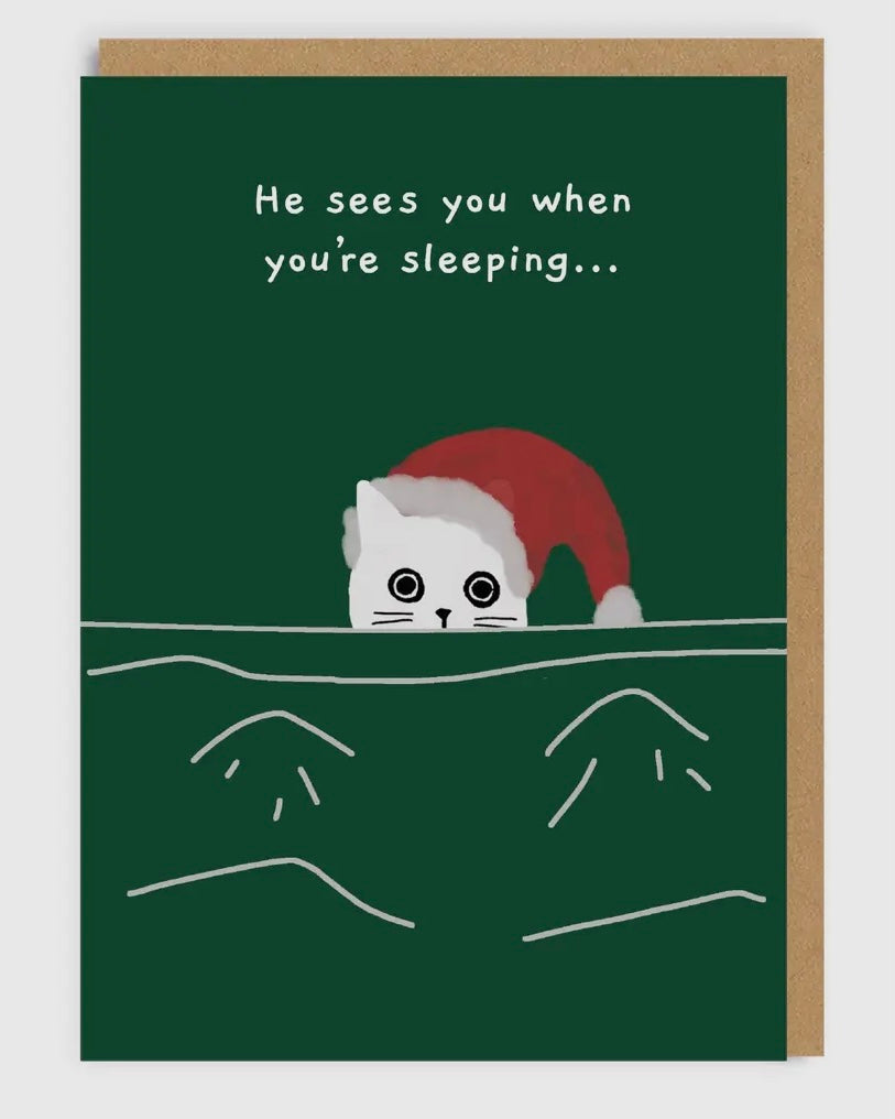 Ken The Cat Christmas Card Set-Ohh Deer-My Beautiful Caravan