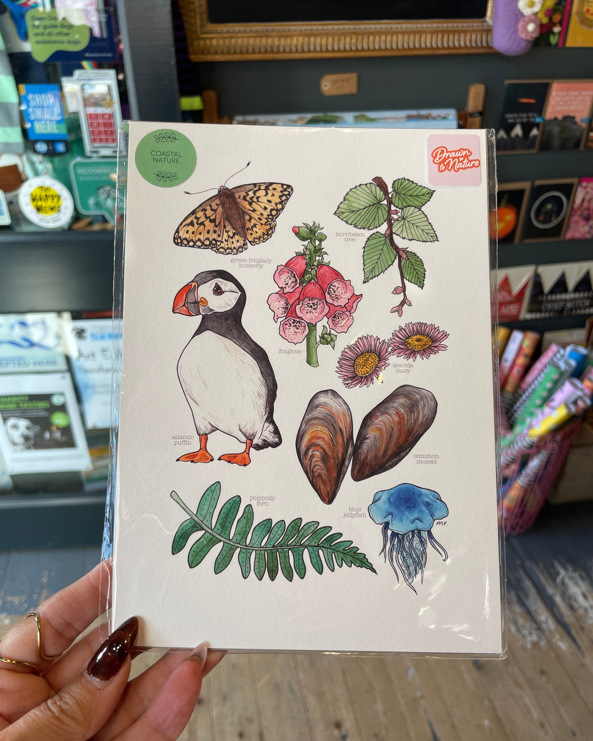 Coastal Nature Print
