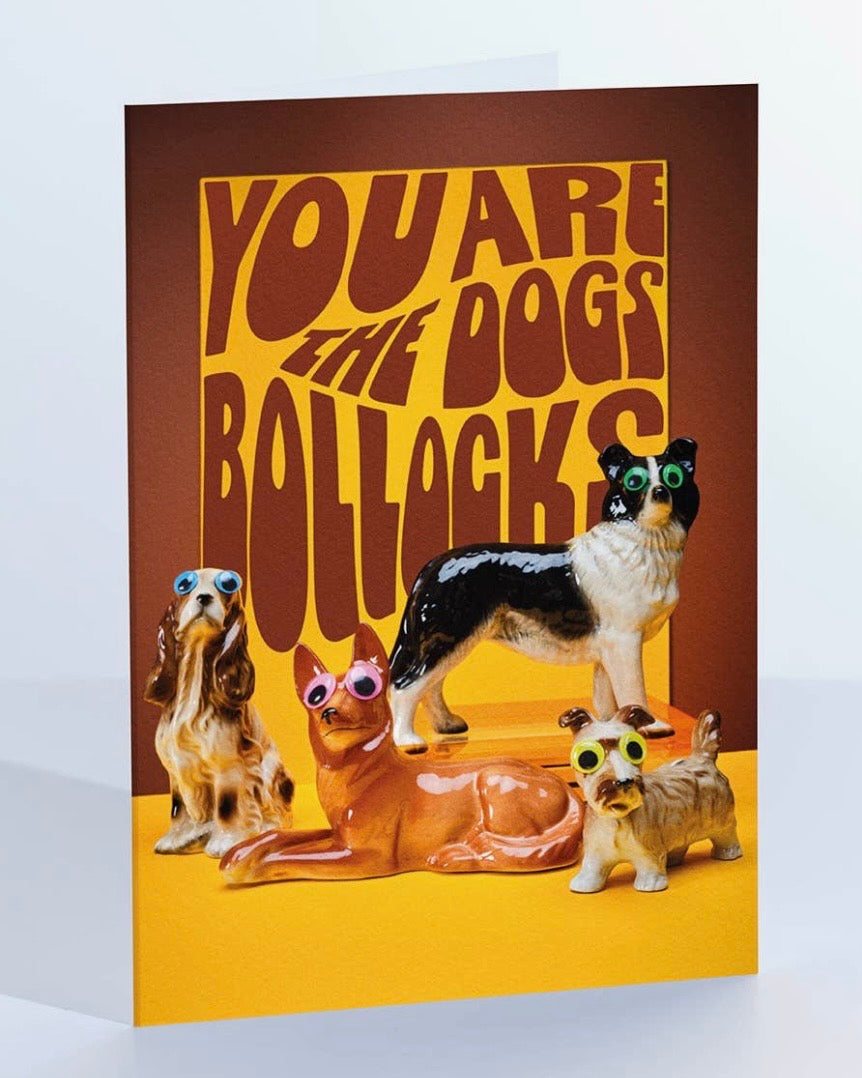 Dogs Bollocks Card