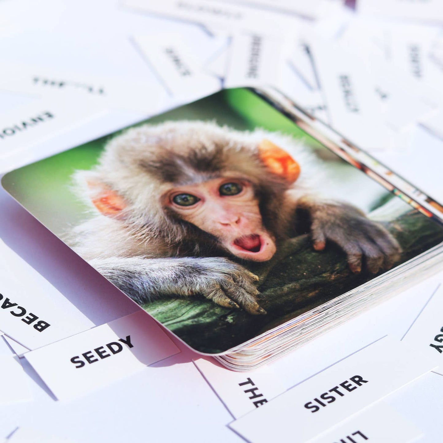 Twisted Captions Game