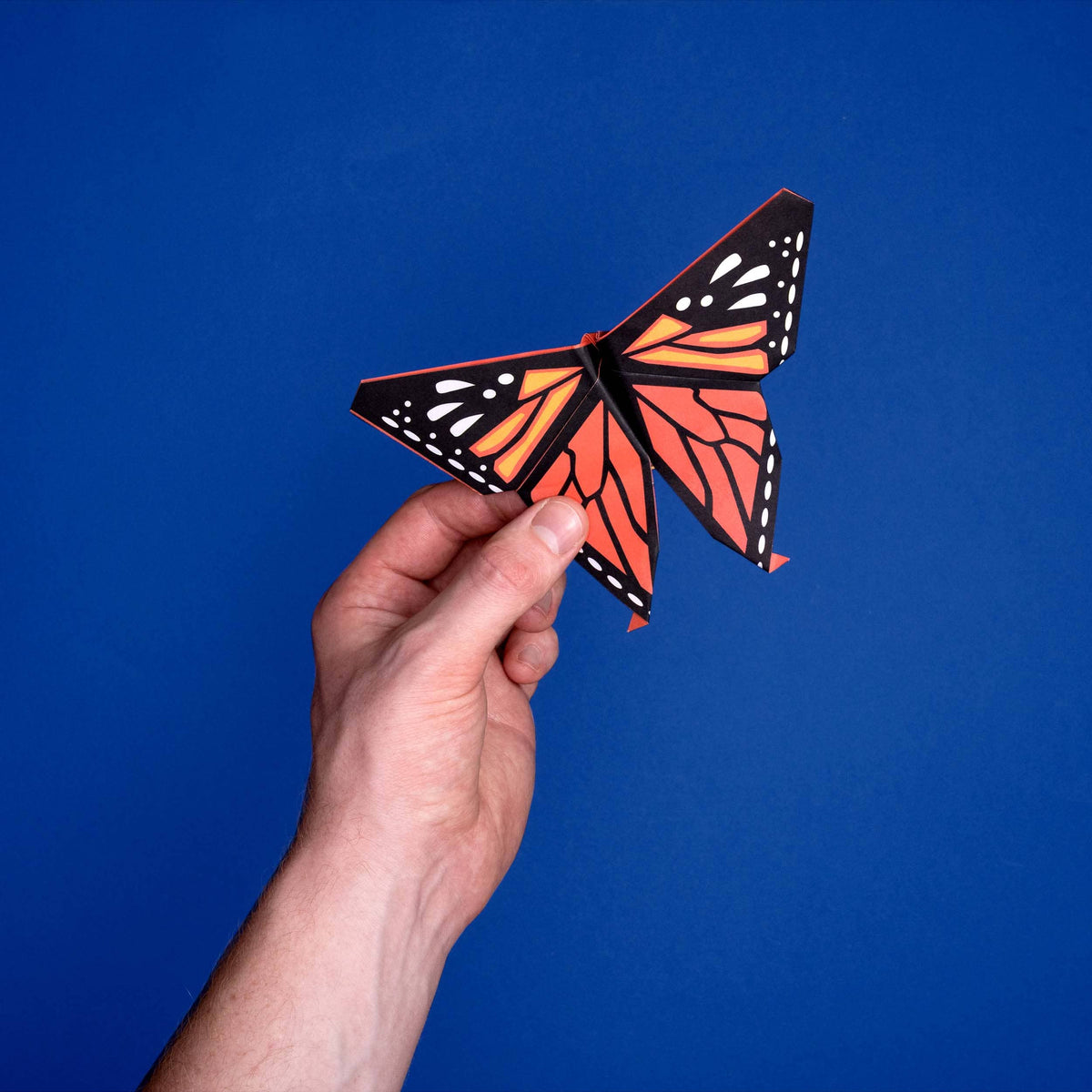 Origami Butterflies Create and Display Kit