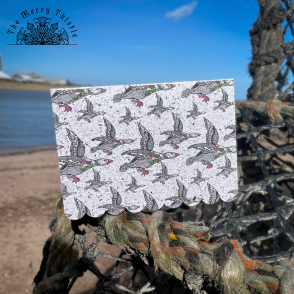 Scottish Wildlife Notecard Set