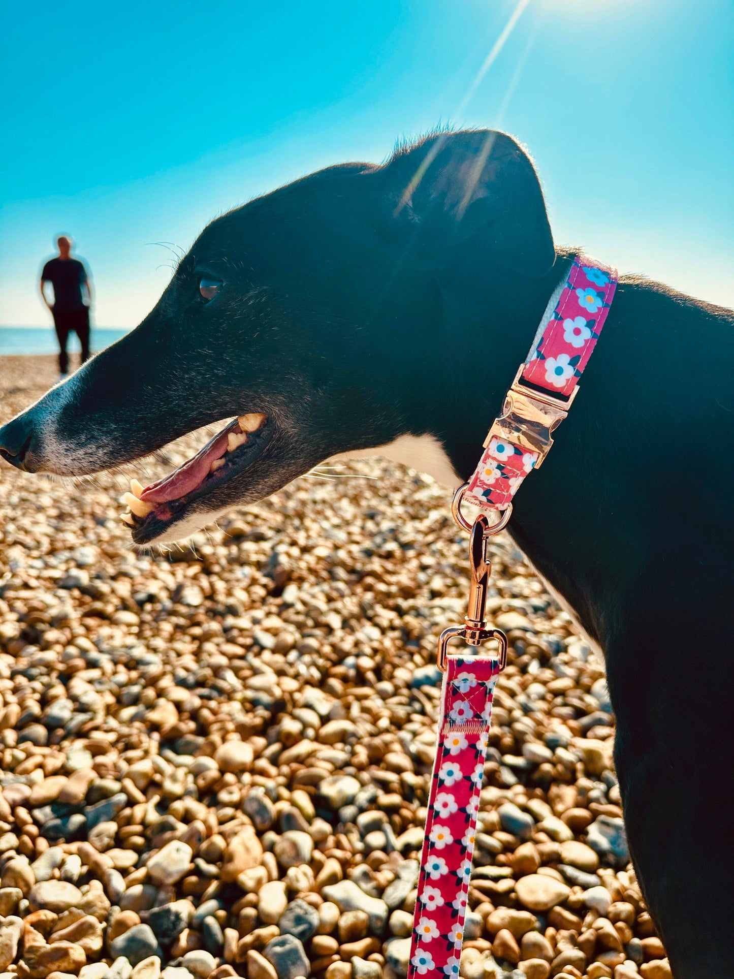 Retro Floral Dog Collar in Rose Pink with Rose Gold Hardware