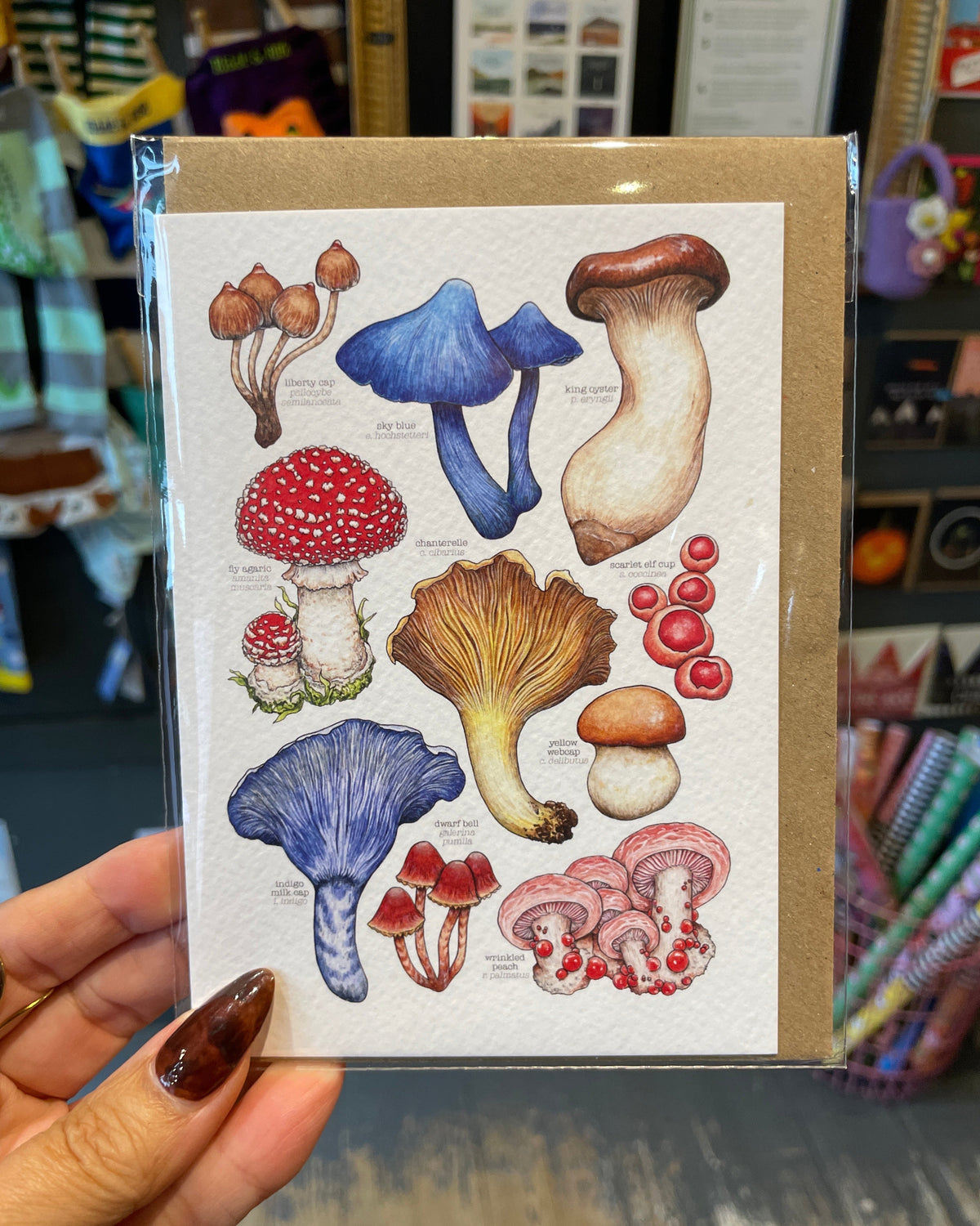 Mushrooms Card