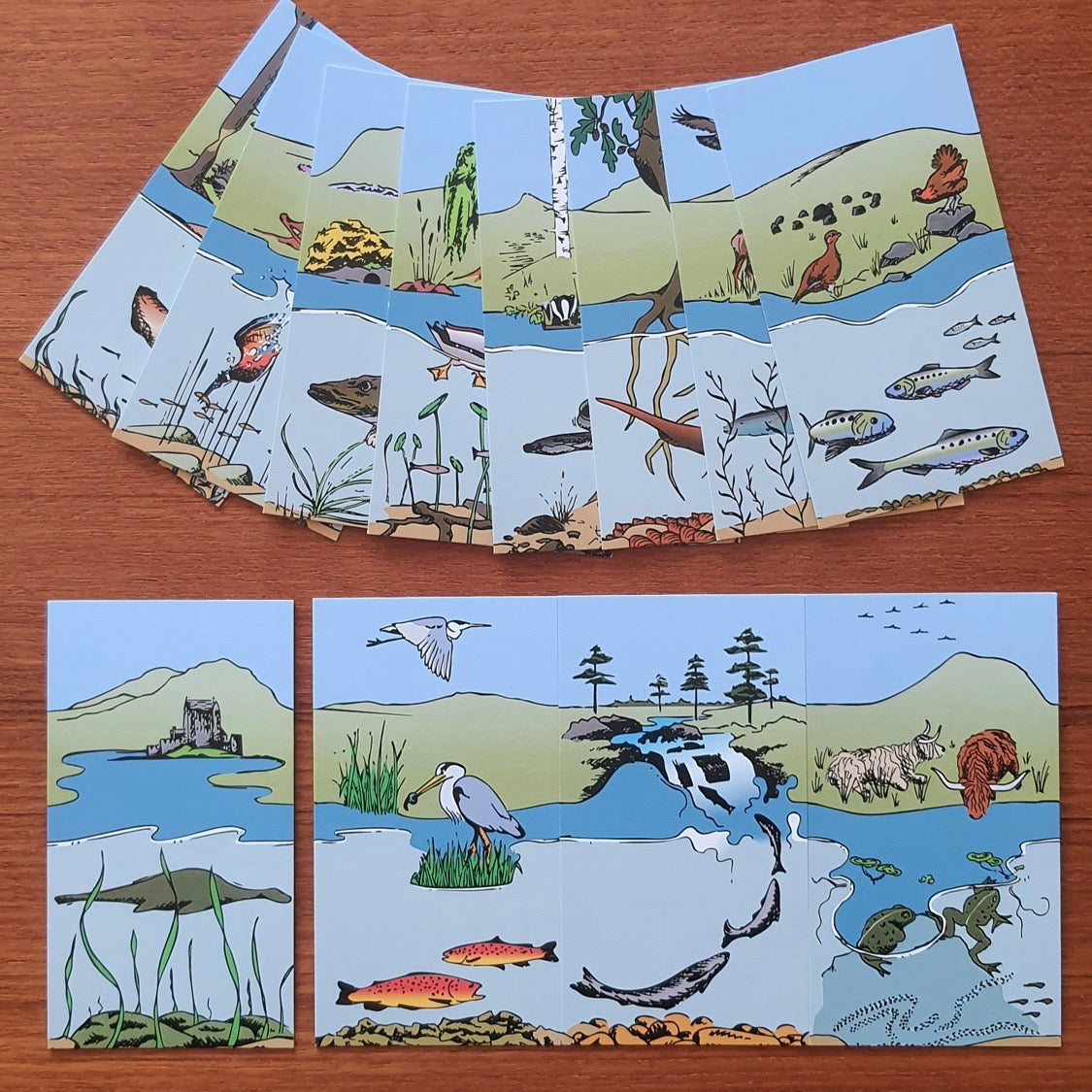 Scottish Wildlife Tin-Tales