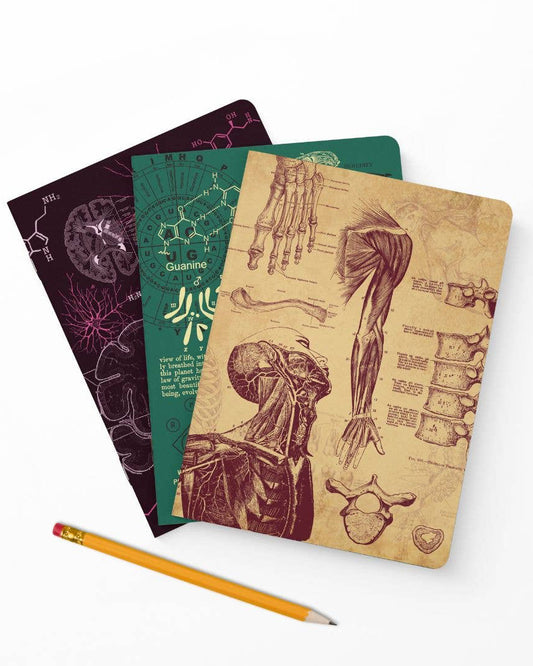 The Living Code Notebook Set: Anatomy, Neuroscience, Evolution & Genetics