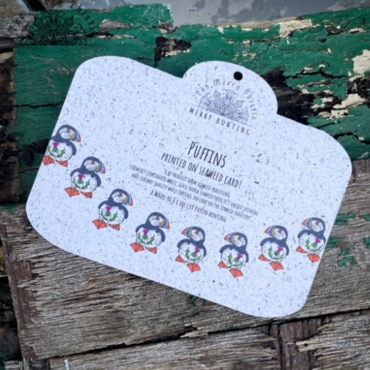 Scottish Puffin Bunting