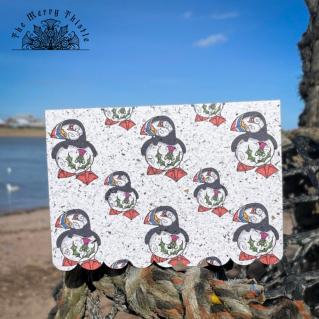 Scottish Wildlife Notecard Set