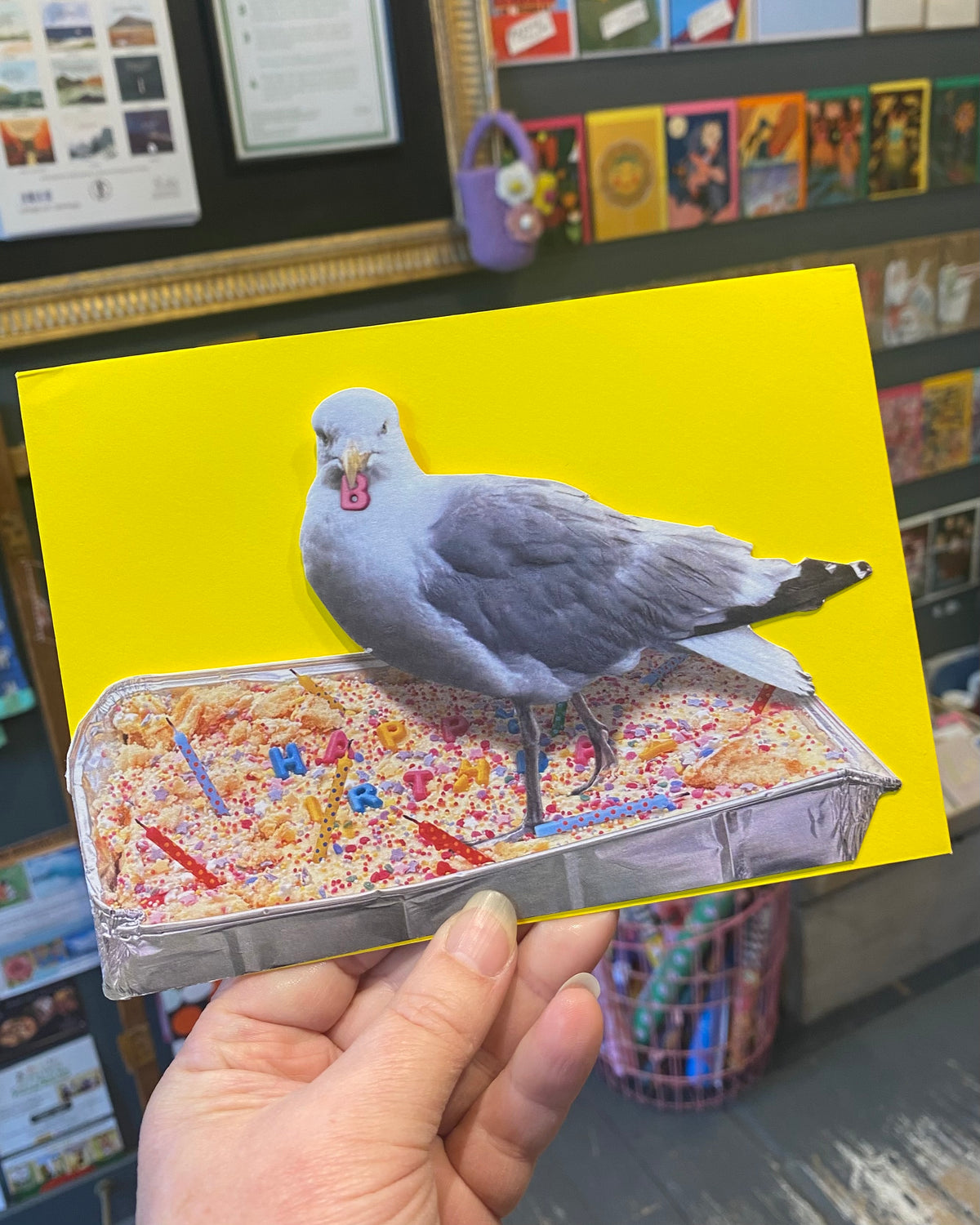 Birthday Seagull Card