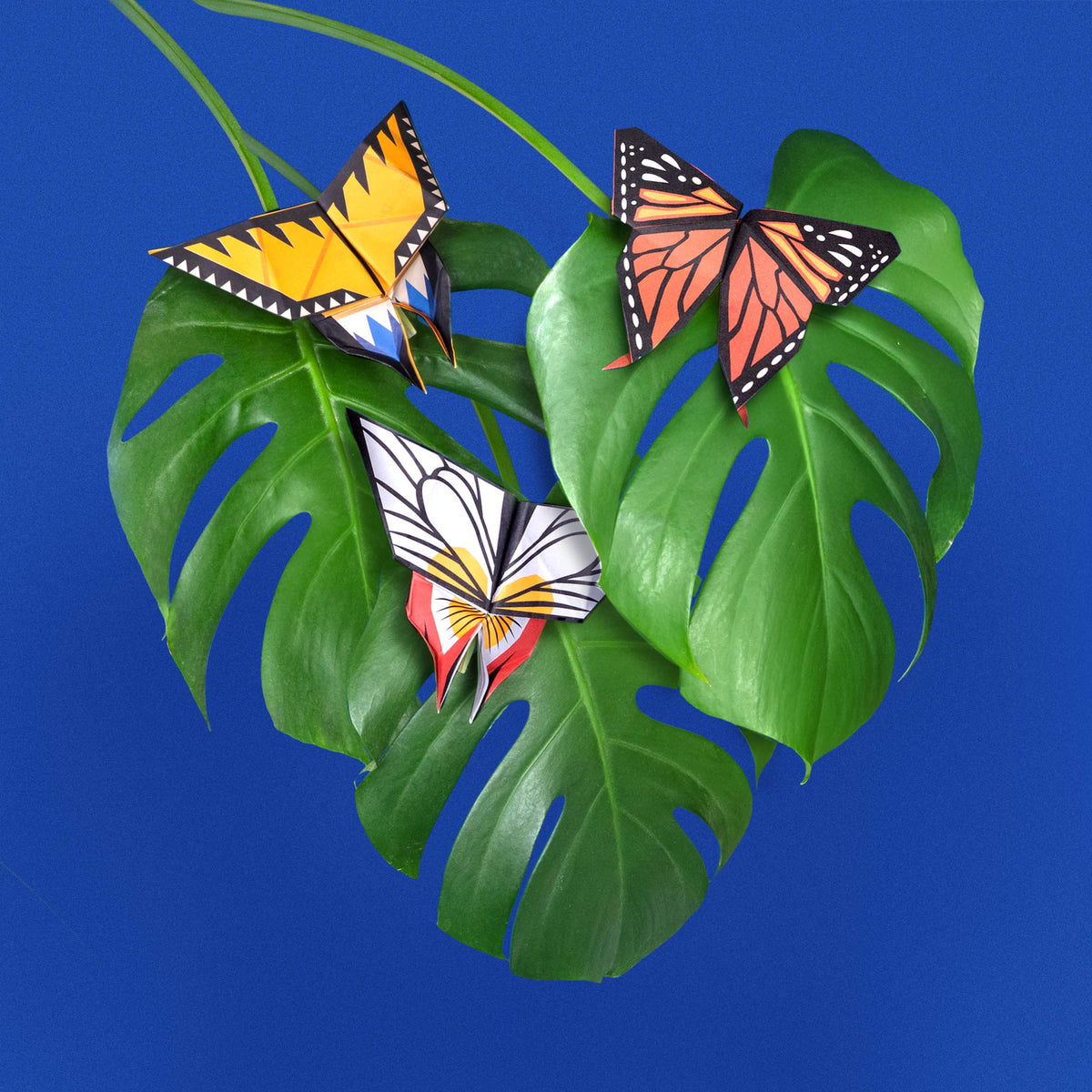 Origami Butterflies Create and Display Kit