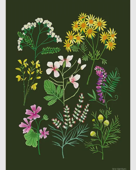 A Walk At Snape Maltings A3 Print-Brie Harrison-My Beautiful Caravan