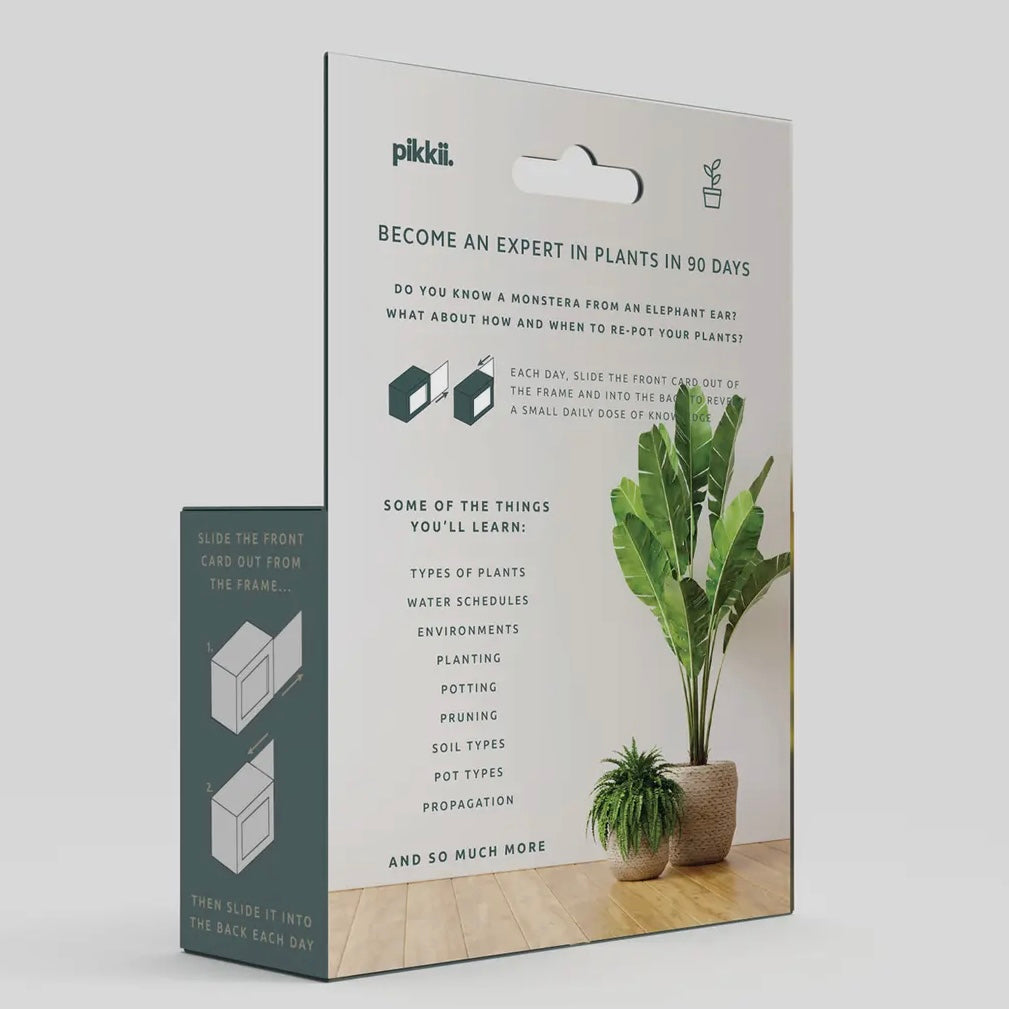 Become An Expert In Plants Slide Box-Pikkii-My Beautiful Caravan