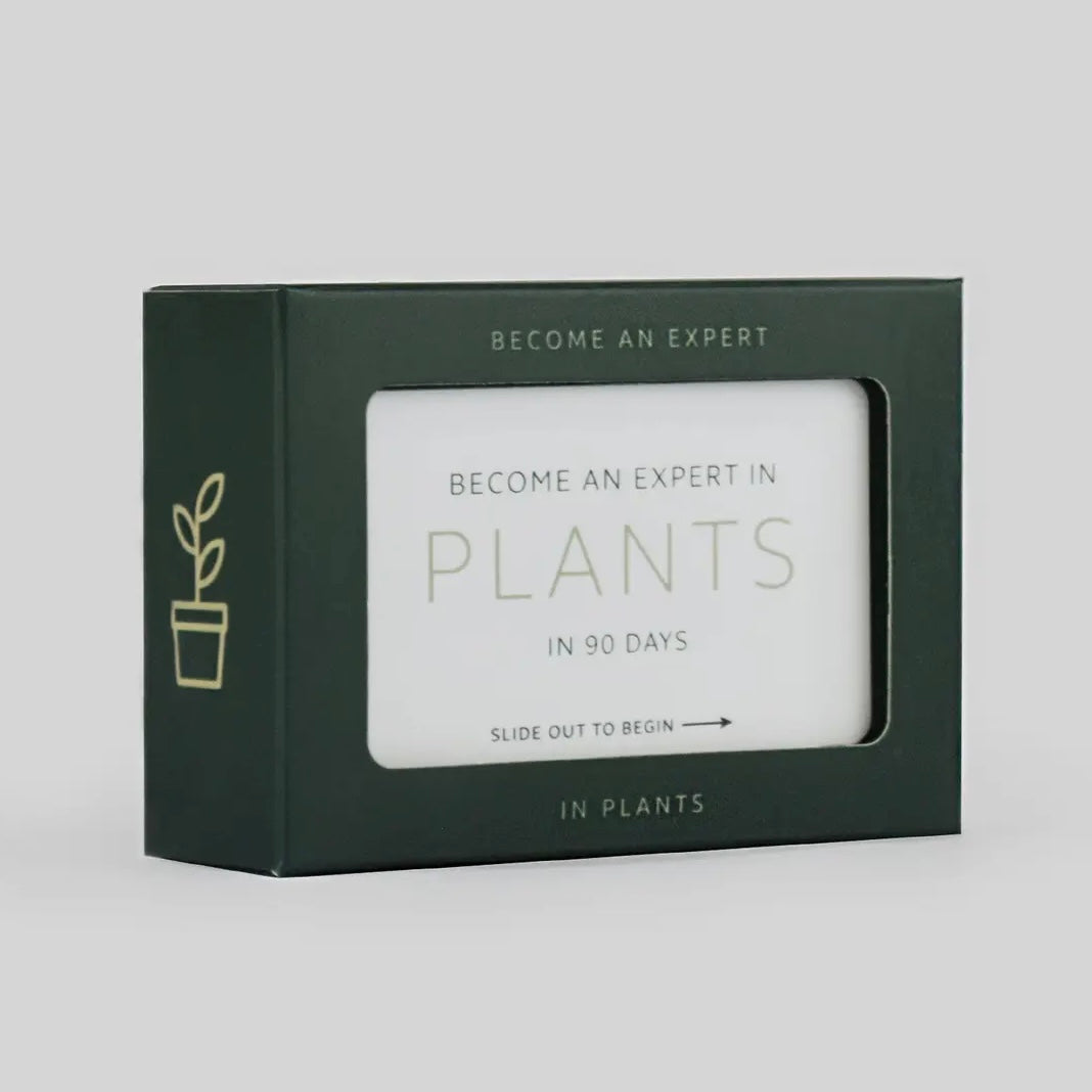 Become An Expert In Plants Slide Box-Pikkii-My Beautiful Caravan