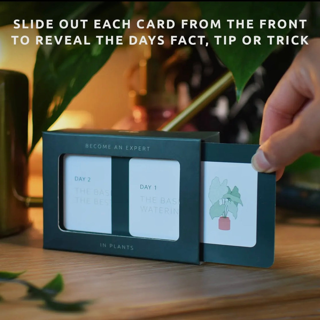 Become An Expert In Plants Slide Box-Pikkii-My Beautiful Caravan