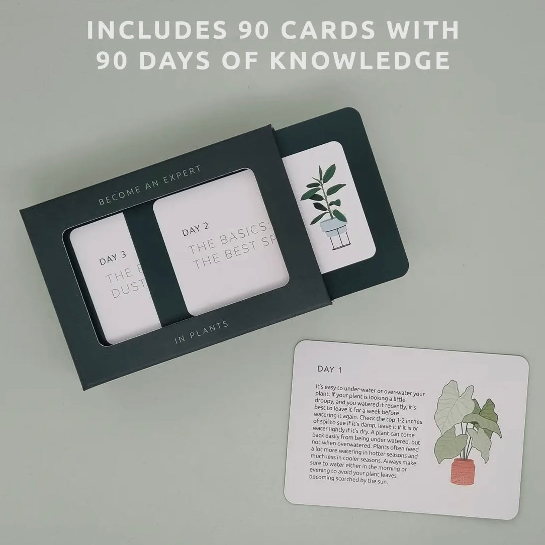 Become An Expert In Plants Slide Box-Pikkii-My Beautiful Caravan
