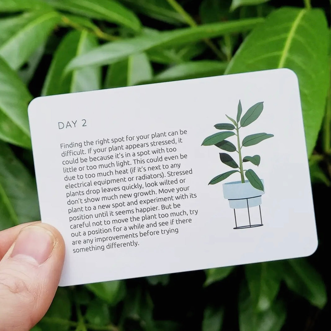 Become An Expert In Plants Slide Box-Pikkii-My Beautiful Caravan