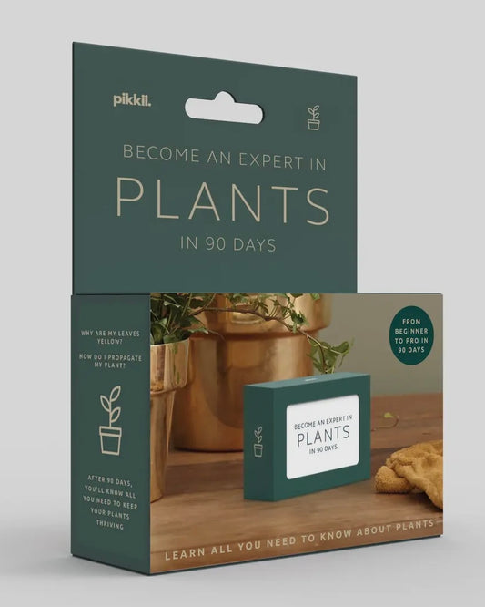Become An Expert In Plants Slide Box-Pikkii-My Beautiful Caravan