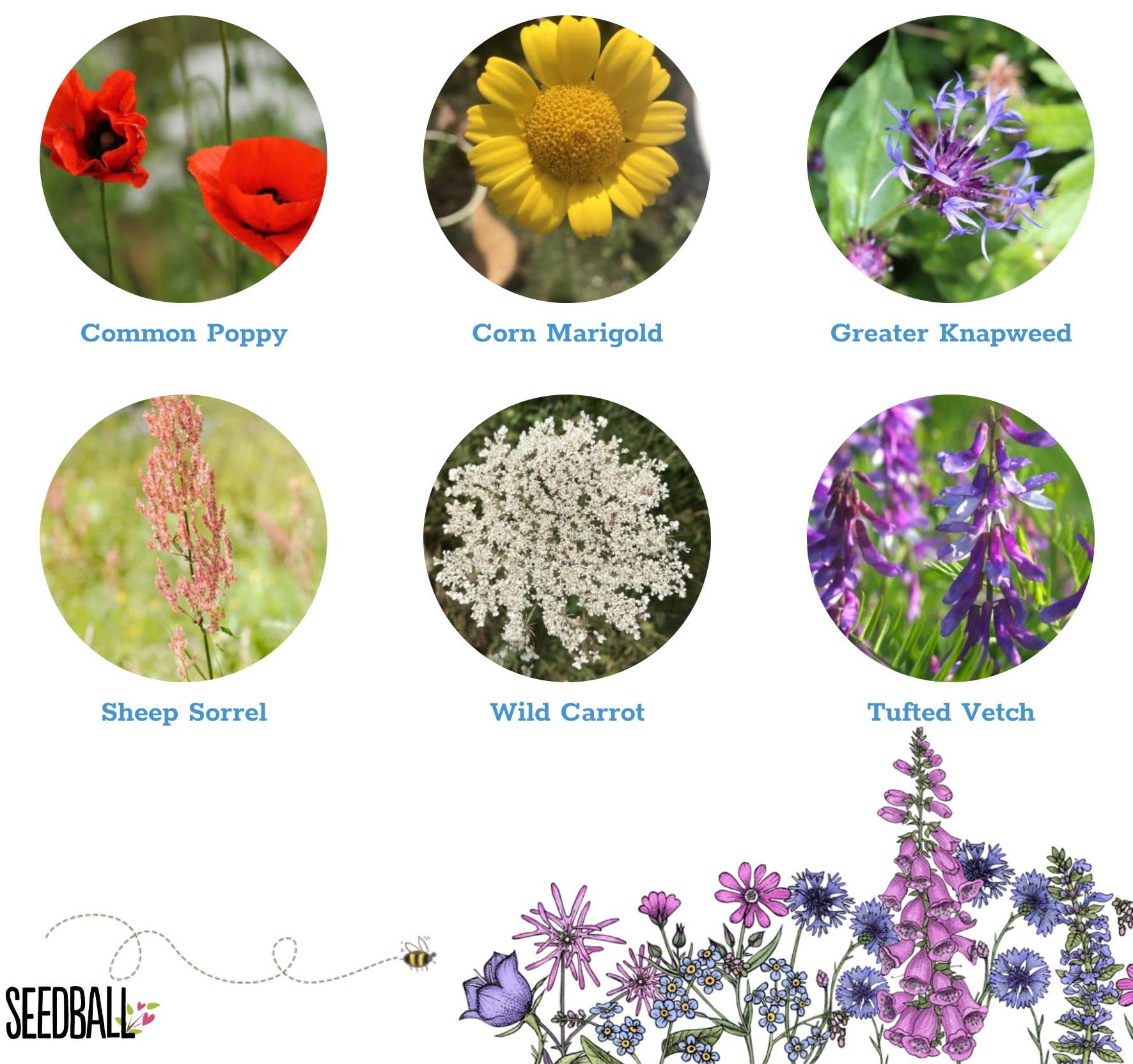 Bird Mix Seedball Tin-Seedball-My Beautiful Caravan