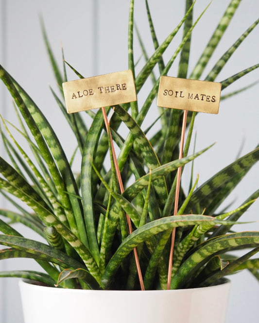 Brass Plant Marker-Milomade-My Beautiful Caravan