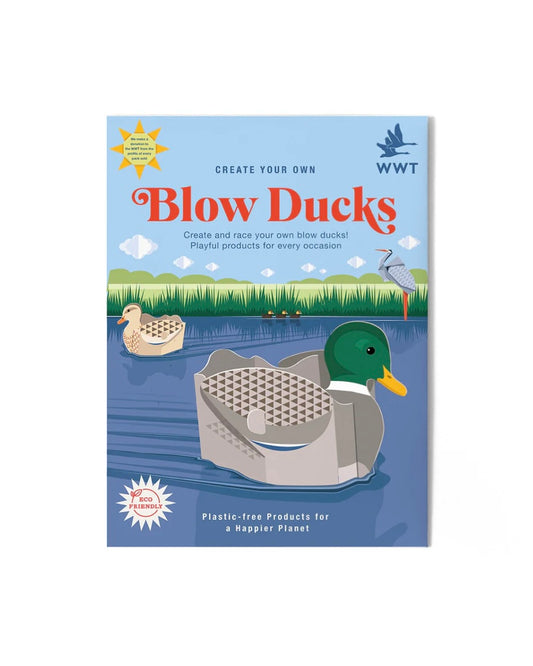 Create Your Own Blow Ducks-Clockwork Soldier-My Beautiful Caravan