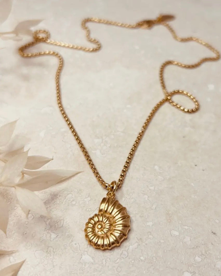 Shell Pendant Necklace