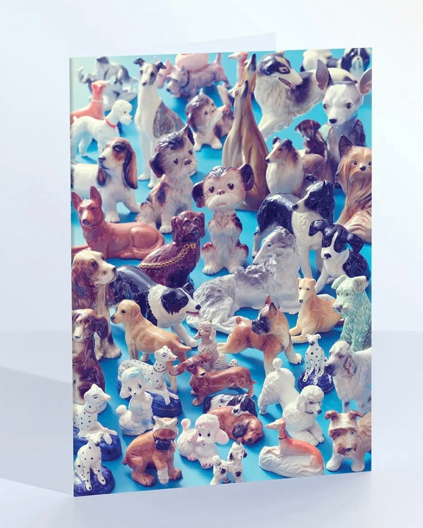 Team Dog Card