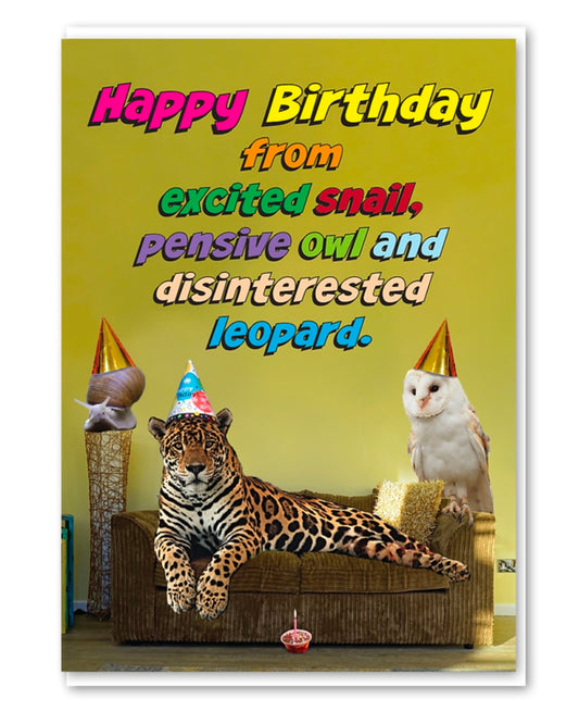 Disinterested Leopard Birthday Card-Objectables-My Beautiful Caravan