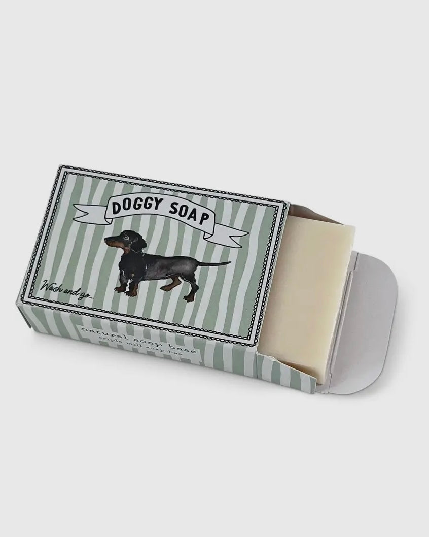 Doggy soap in a striped box on a white background