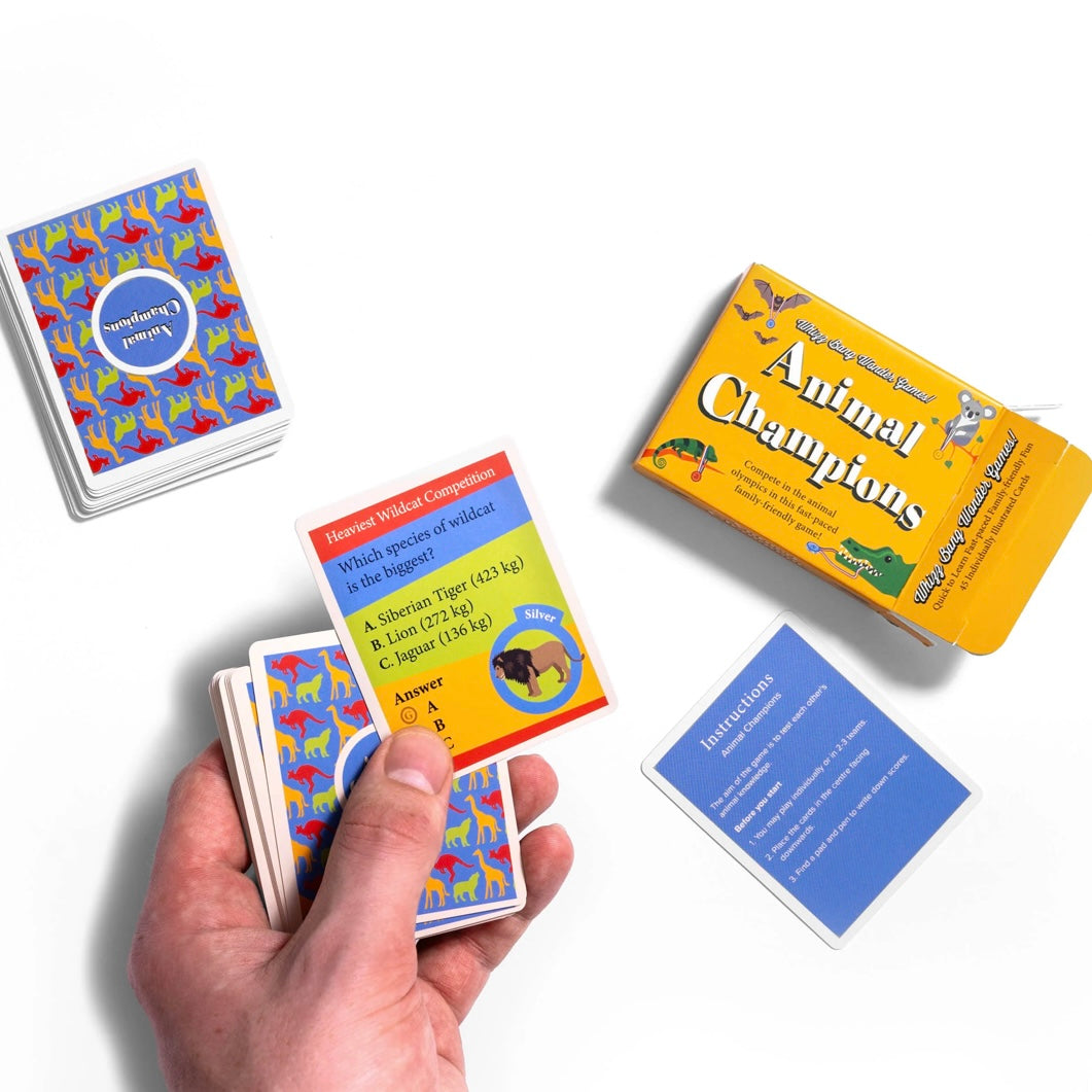 Whizz Bang Wonder Card Games