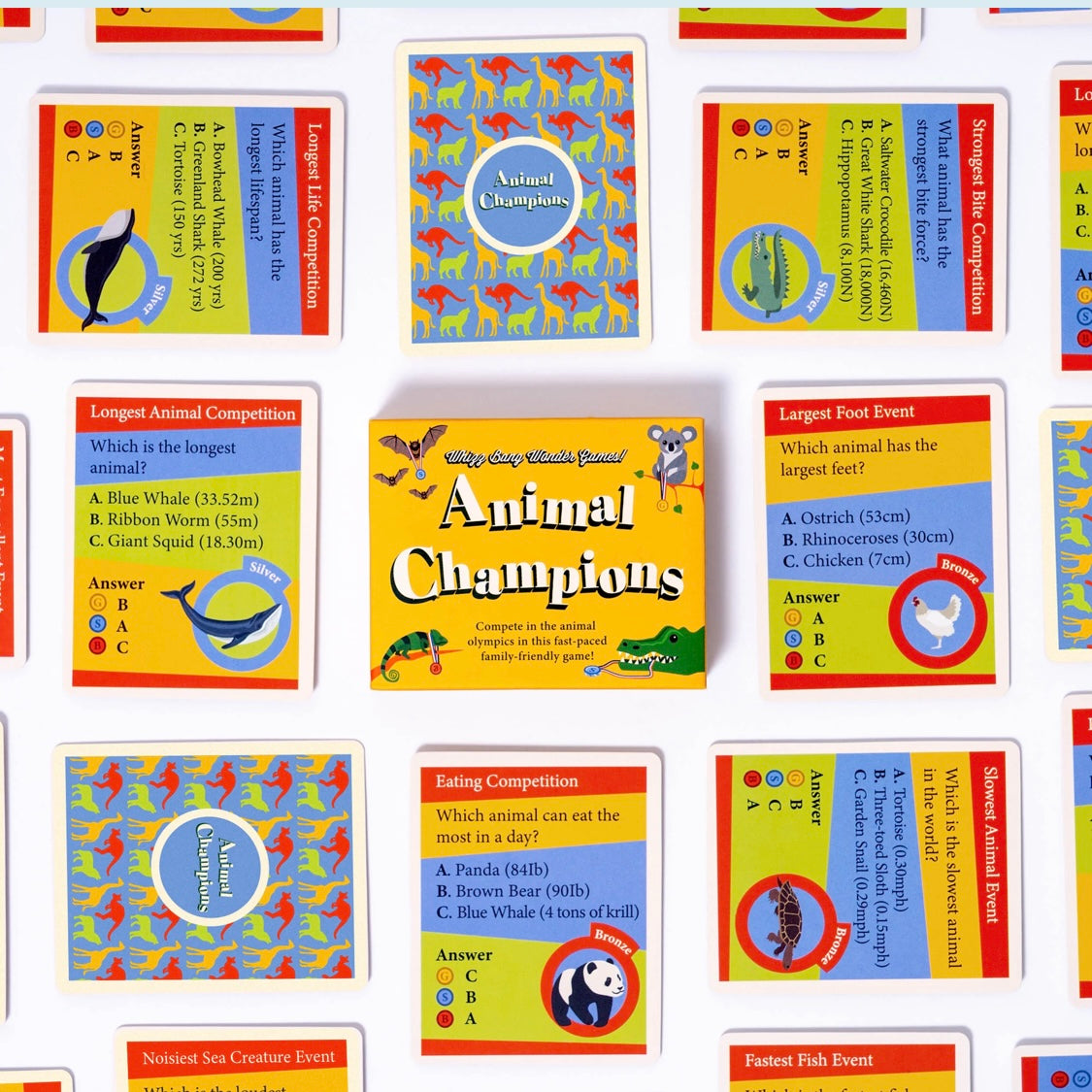 Whizz Bang Wonder Card Games