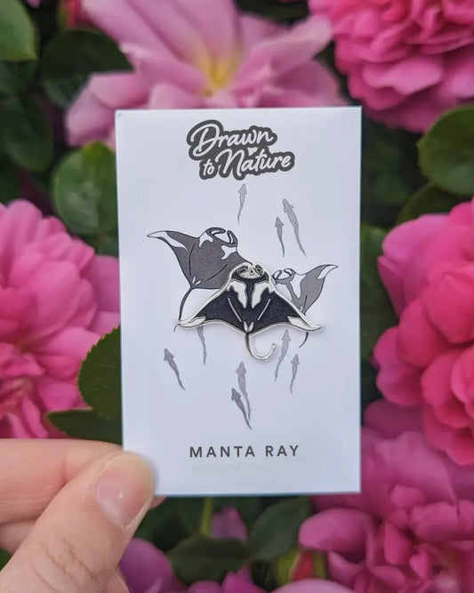 Manta Ray Pin