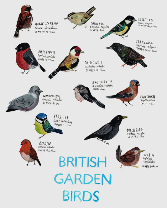 Garden Birds Print