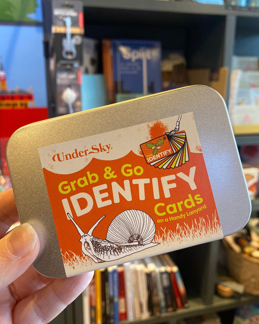 Grab & Go Identify Cards-Under Sky-My Beautiful Caravan