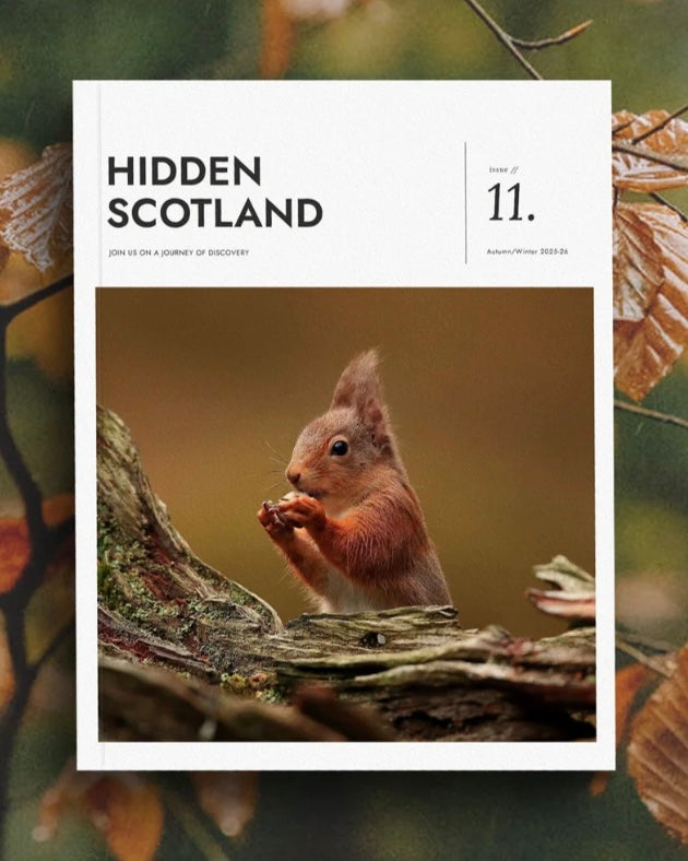 Magazine cover titled 'Hidden Scotland' Issue 11 featuring a red  squirrel on a branch.