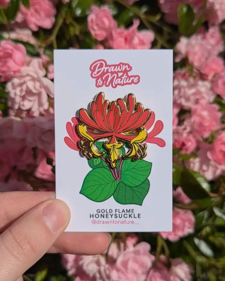 Honeysuckle Pin-Drawn To Nature-My Beautiful Caravan