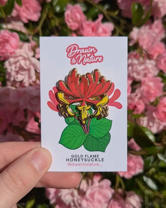 Honeysuckle Pin-Drawn To Nature-My Beautiful Caravan