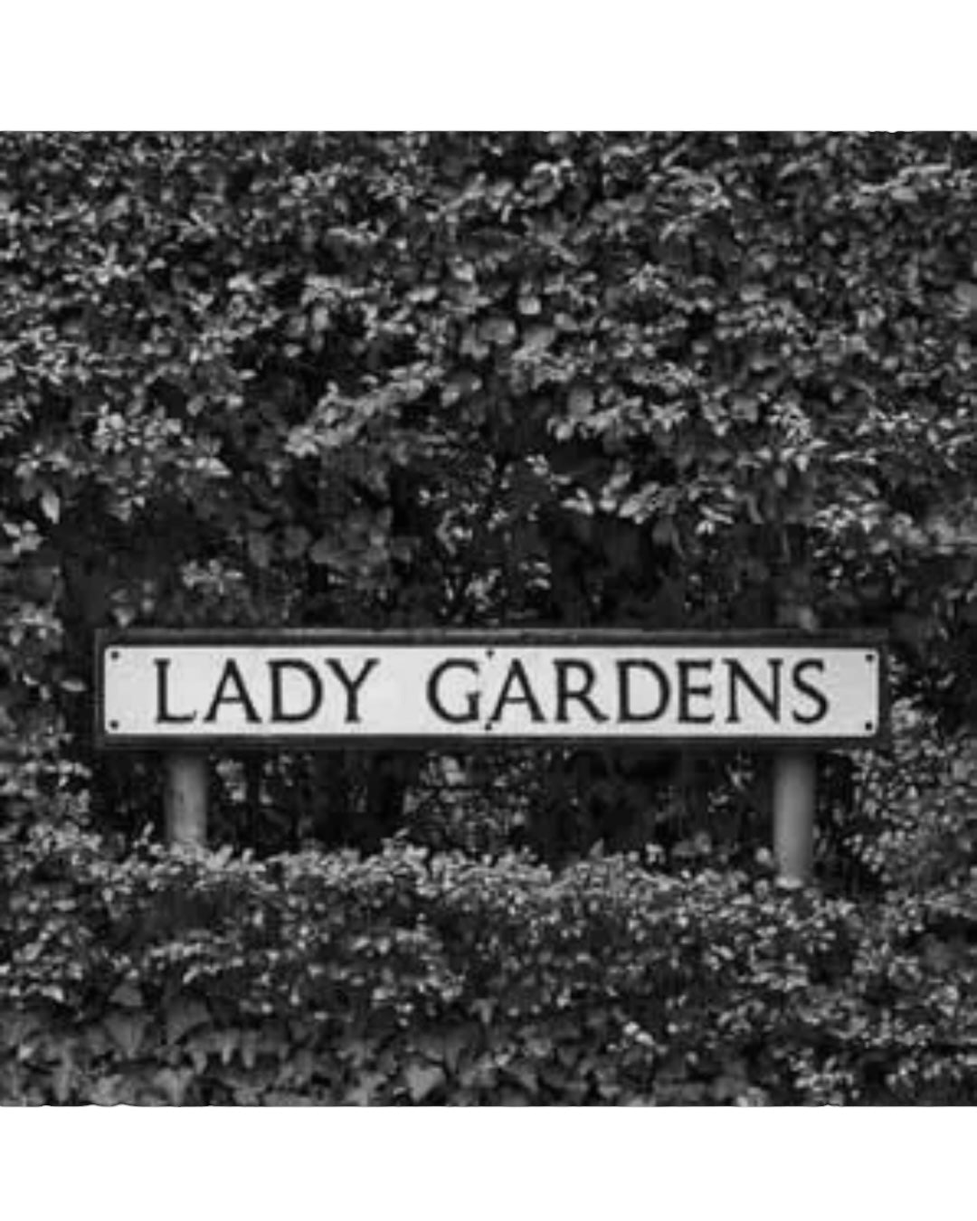 Lady Gardens Card-Lesser Spotted Images-My Beautiful Caravan