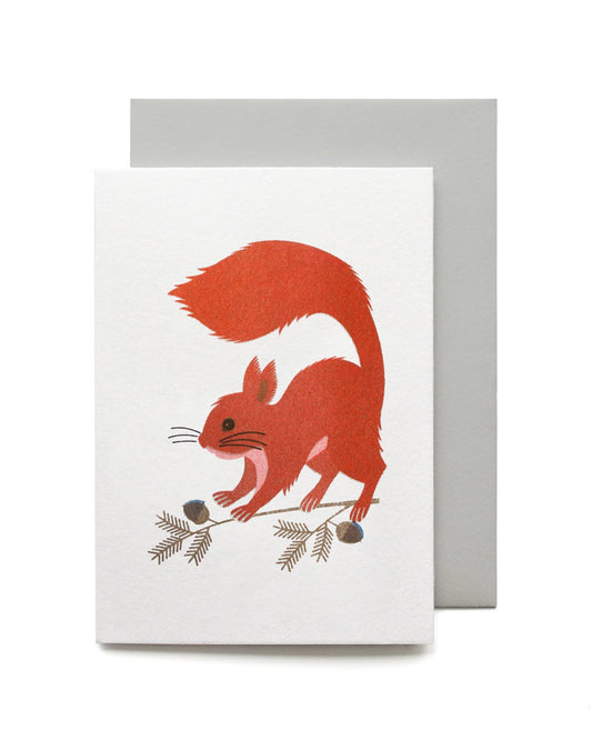 A white greeting card featuring a stylized red squirrel on a branch with acorns, shown with a light gray envelope behind it on a white background.