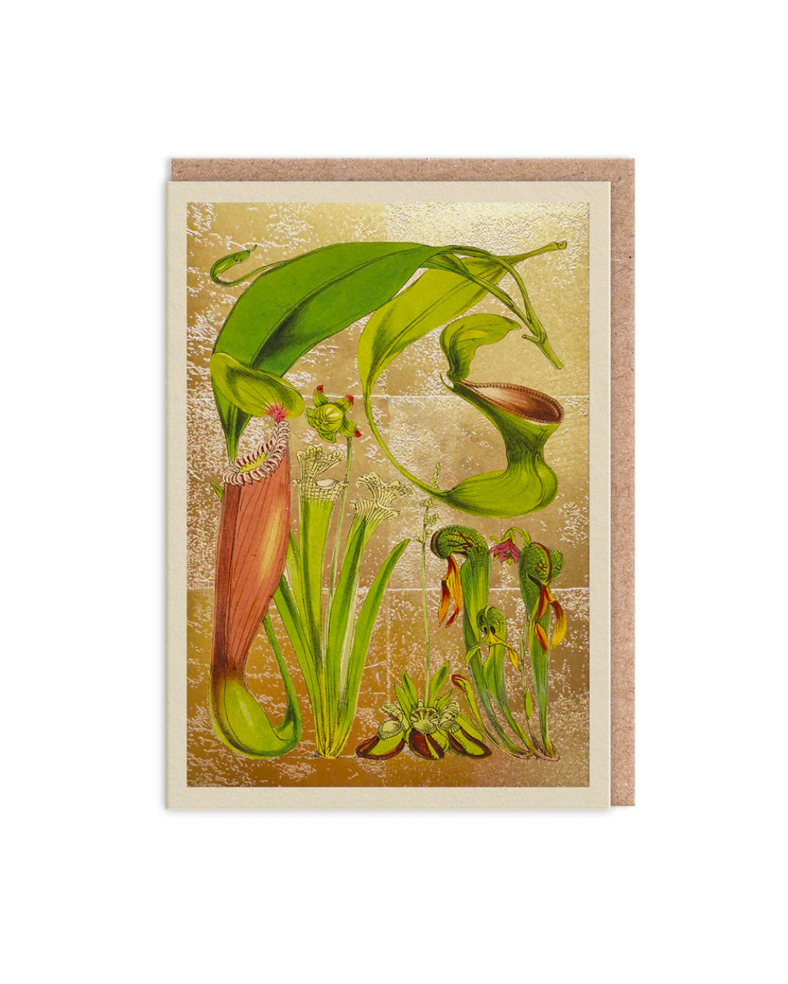 Pitcher Plant Gold Greetings Card-Ohh Deer-My Beautiful Caravan
