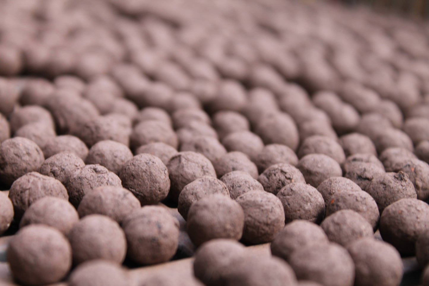 Plantlife Mix Seedball Tin-Seedball-My Beautiful Caravan